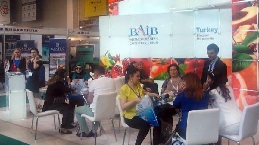 Baib Azerbaycan&rsquo;da