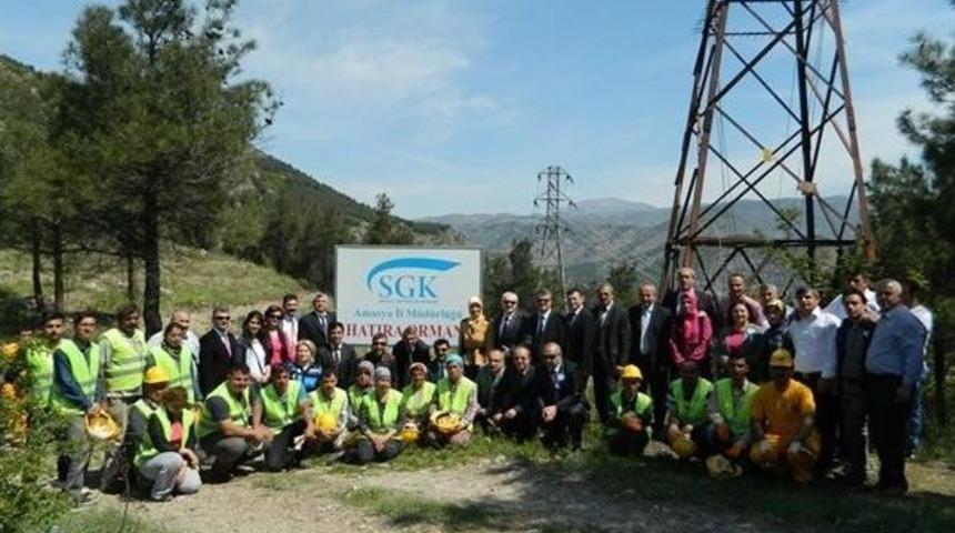 Amasya Sgk’dan Hatıra Ormanı