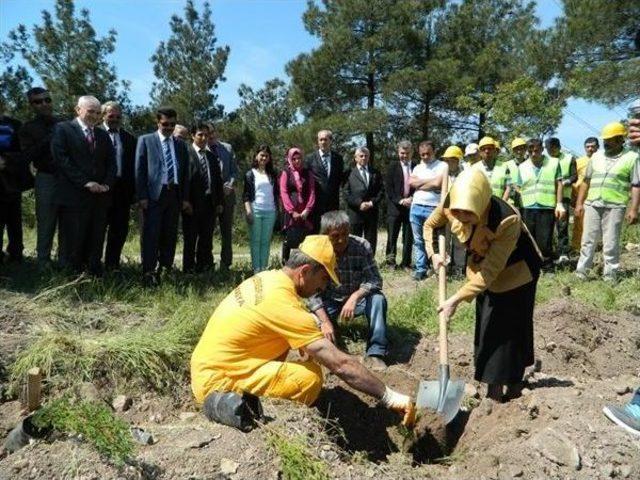 Amasya Sgk’dan Hatıra Ormanı