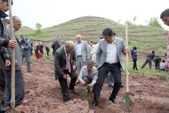 Ahlat’ta Fidan Dikimi Yapıldı 1
