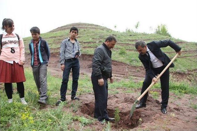 Ahlat’ta Fidan Dikimi Yapıldı 2