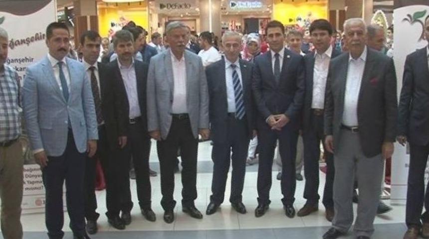 Malatyapark&rsquo;da Su Kabağı Sergisi A&ccedil;ıldı