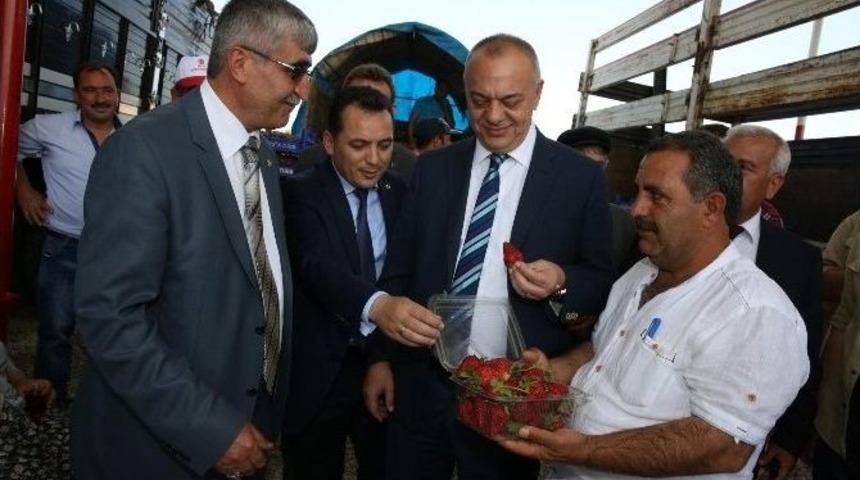 K&ouml;pr&uuml;başı&rsquo;nda &Ccedil;ilek &Uuml;reticisinin Y&uuml;z&uuml; G&uuml;l&uuml;yor