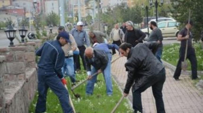 Fidan Dikim &Ccedil;alışmaları K&uuml;r-kale Rekrasyon Alanıda Devam Ediyor