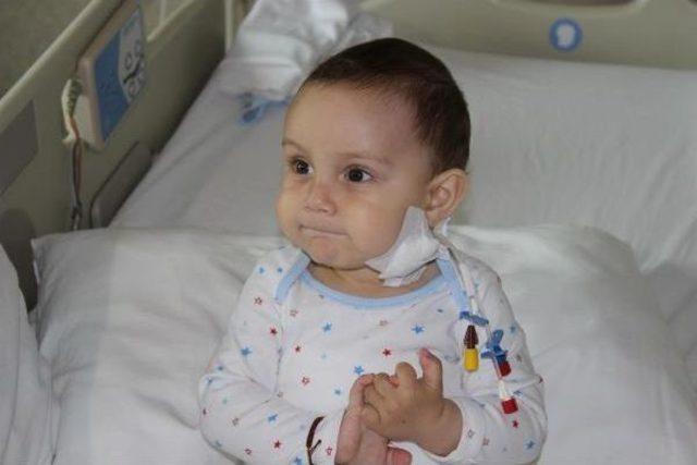 Ata Mert ten Yeni Hayata  merhaba  2