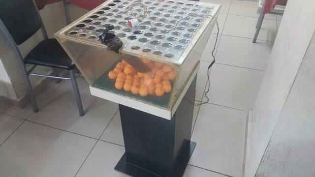 Polisten Tombala Salonlarına Baskını 1