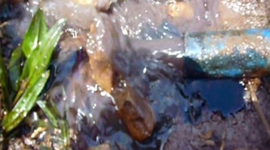 Batmanlı &Ccedil;ift&ccedil;i Tarlasında Su Ararken Petrol Buldu