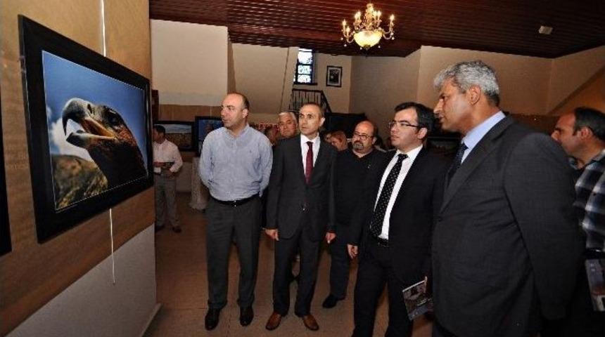G&uuml;ccan Ve Arsal&rsquo;dan Anayurt Fotoğrafları Sergisi