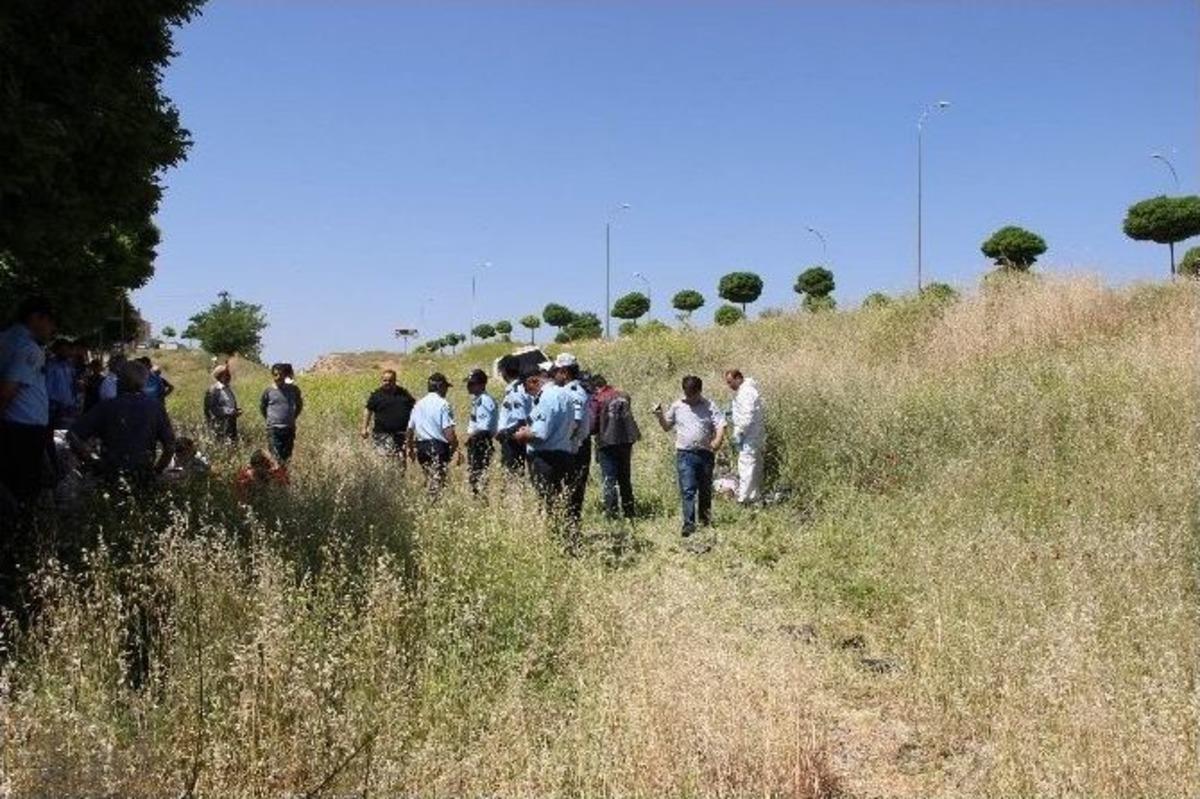 Fren Yerine Gaza Basan S&uuml;r&uuml;c&uuml; Yayayı Ezdi