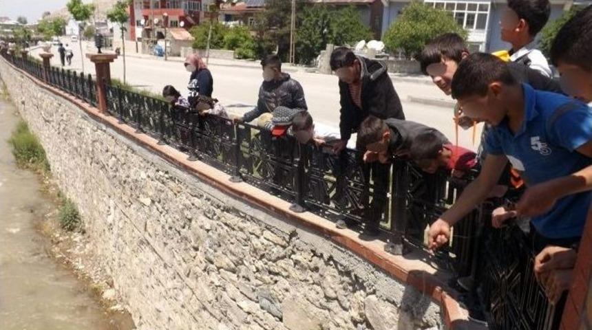 Zorlu Yolculuk, &Ccedil;ocuk Engeline Takıldı