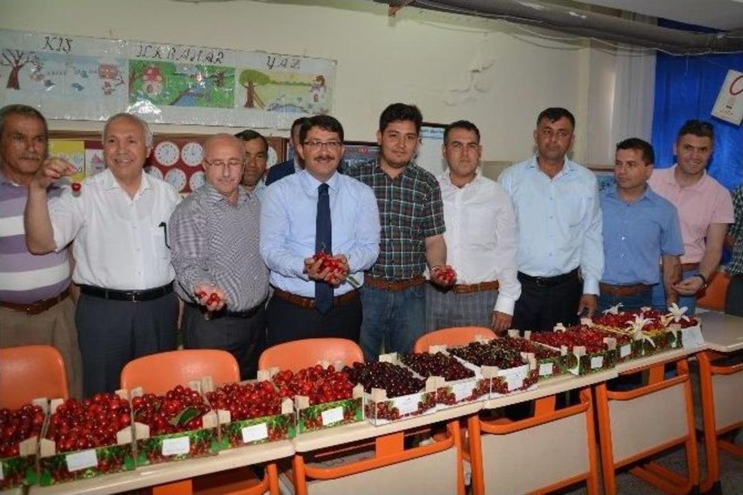 Şehzadeler, 26&rsquo;ncı Kiraz Festivali&rsquo;ne Renk Kattı