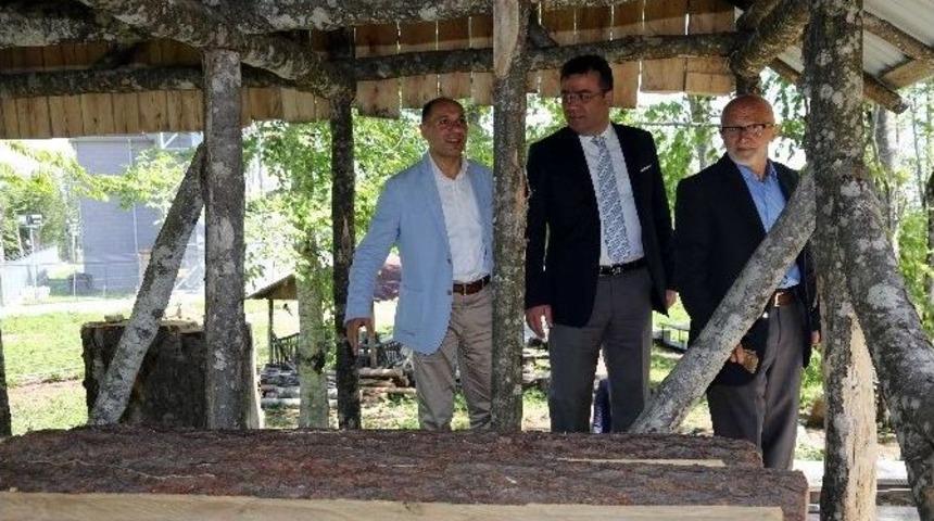 Taşçı’nın Hedefi Kaliteyi Arttırmak