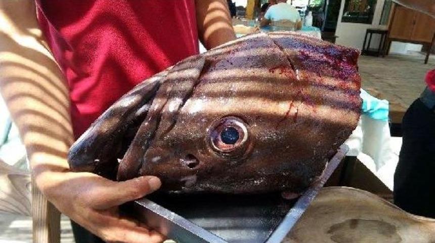 Oltayla 30 Kiloluk Lagos Yakaladı
