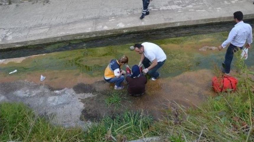 K&ouml;pekten Ka&ccedil;arken Dereye D&uuml;şen Kadın Yaralandı