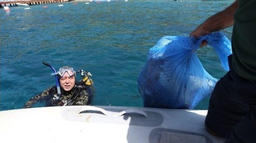 Bodrum&rsquo;da Deniz Dibi Temiz &Ccedil;ıktı
