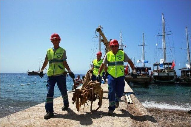 Bodrum’da Deniz Dibi Temiz Çıktı