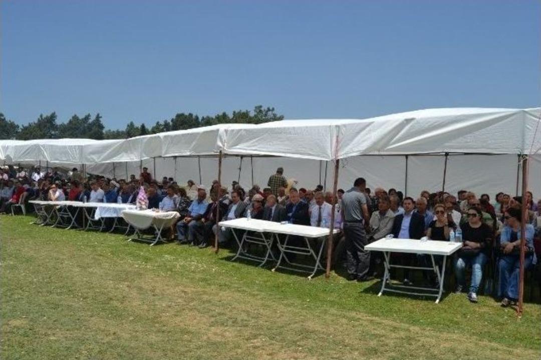 Mehmet Sarı Ko&ccedil; Ağası Oldu