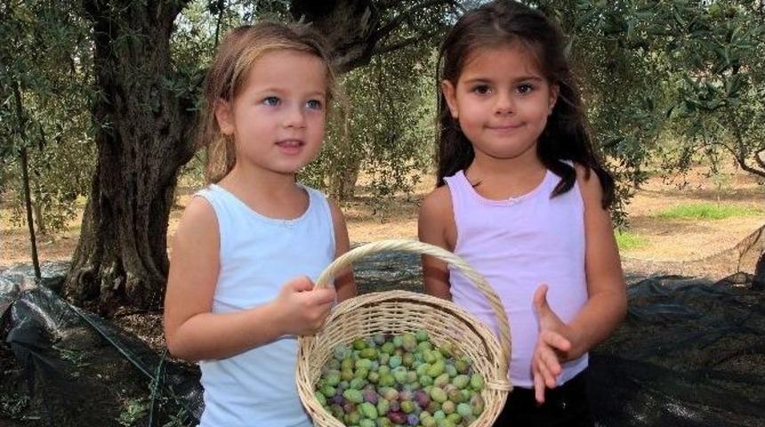 Fiyatlar U&ccedil;tu, İhracat &Ccedil;akıldı