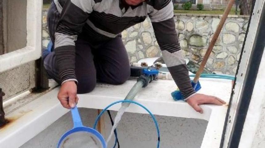 300 Bin Yavru Levreğe İzmit K&ouml;rfezi'nden Cansuyu