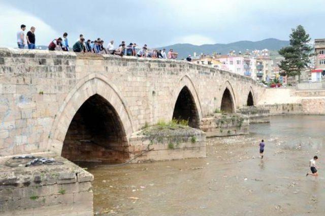 Tokat'ta Derede Balık Ölümleri