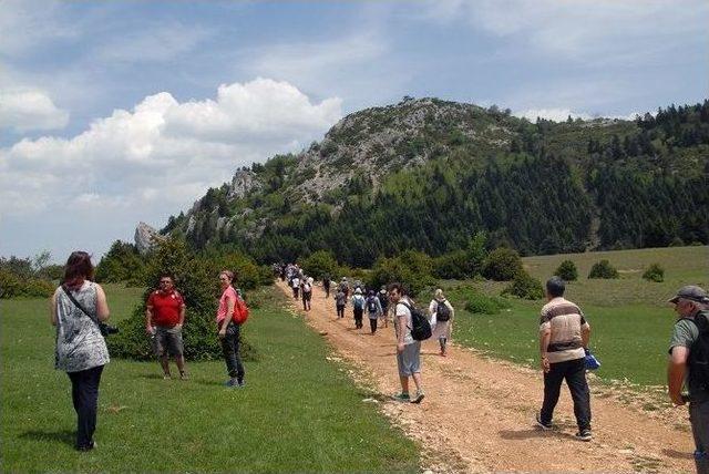 Taraklı’da Yürüdüler