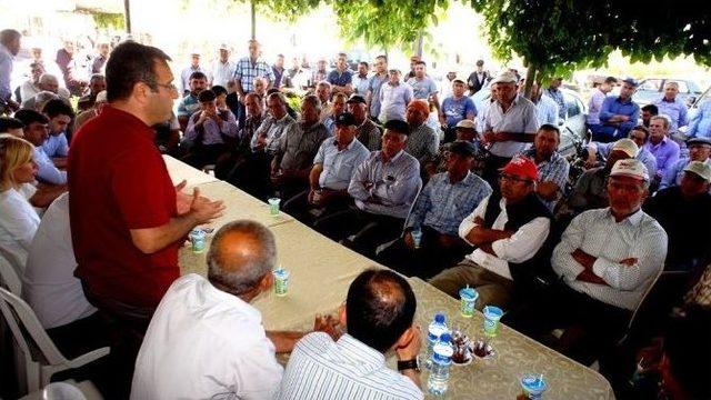 Dondan Zarar Gören Bağlar Kazılmaya Başlandı