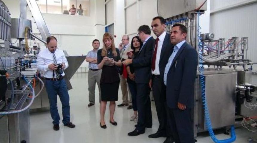 Birleşmiş Milletler Heyeti, Kilis'te Zeytinyağı Tesisini Inceledi