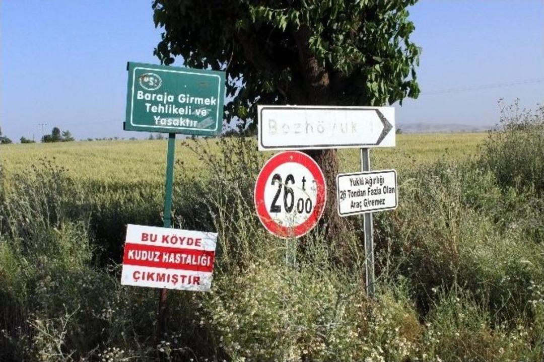 Adıyaman&rsquo;da Bir K&ouml;yde Kuduz Karantinası