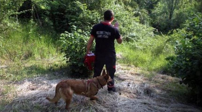 Babasından Korkup Ormanlık Alana Ka&ccedil;an &Ccedil;ocuğu Gazeteciler Buldu