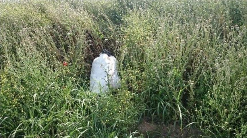 Diyarbakır&rsquo;da 16 Kilogram Esrar Ele Ge&ccedil;irildi