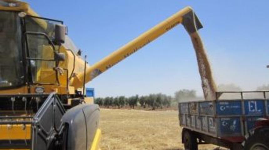 Bi&ccedil;erd&ouml;ver Kontrolleri Başlıyor