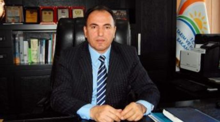 Pamuk, Mısır Ve Soya Destekleme Primleri Yatırılıyor