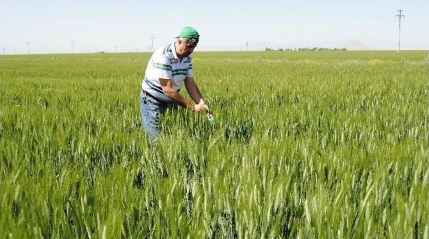 Karaman&rsquo;da S&uuml;neyle M&uuml;cadele &Ccedil;alışmaları