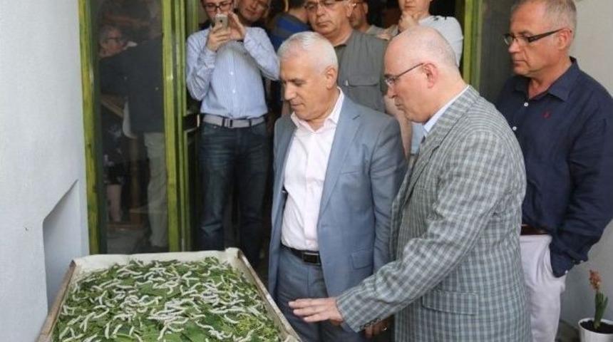 Sanat&ccedil;ı Yağlıdere&rsquo;den &lsquo;ipekb&ouml;ceğinin &Ouml;yk&uuml;s&uuml;&rsquo;