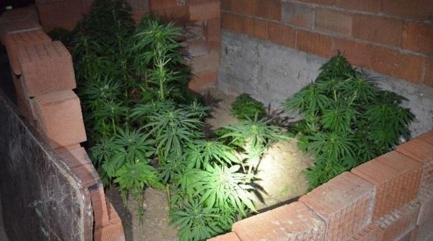 Ergani&rsquo;de Asayiş Olayları