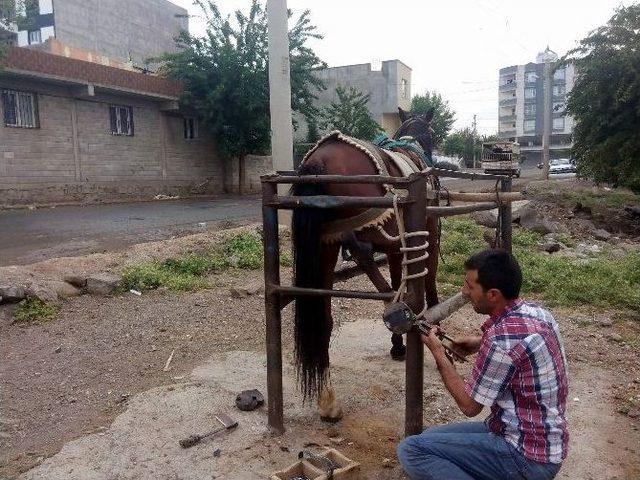 Bir Meslek Daha Tarih Karışıyor