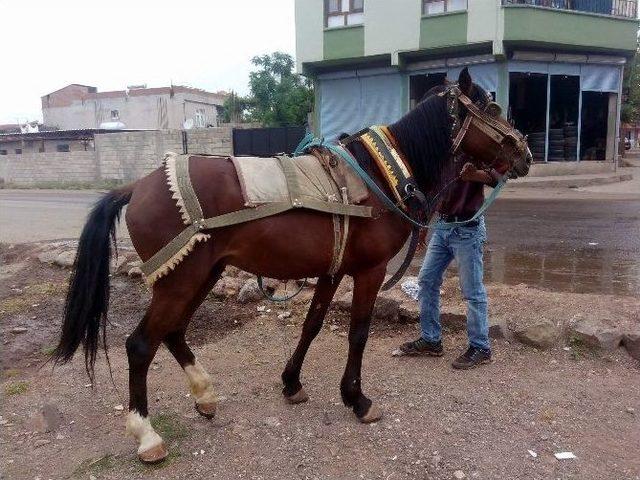 Bir Meslek Daha Tarih Karışıyor