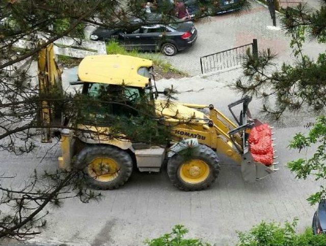 Kozlu'da Belediye Halka 50 Ton Ücretsiz Soğan Dağıttı