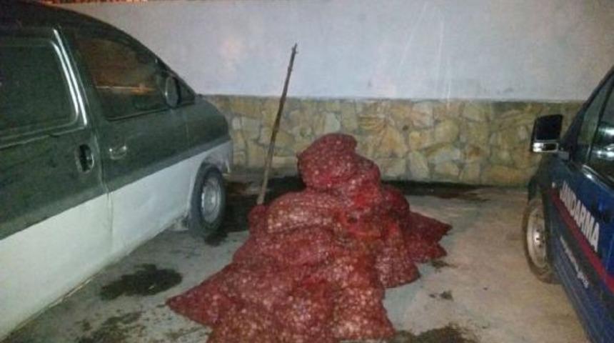 Enez'de 1 Ton Ka&ccedil;ak Midye Ele Ge&ccedil;irildi