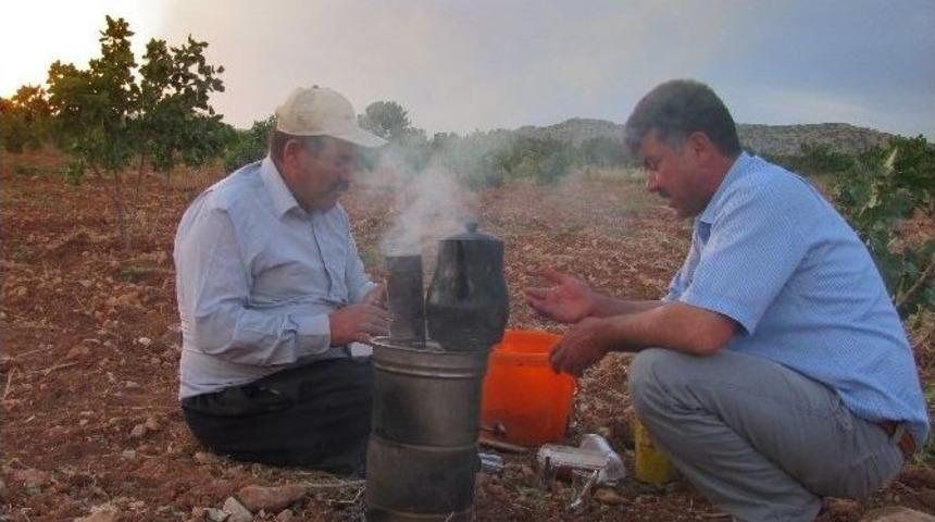 Arabanlı Antep Fıstığı &Uuml;reticilerinin G&uuml;n Batımında K&ouml;zde &Ccedil;ay Keyfi