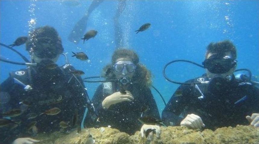 Bodrum’da Gençlik Haftası Etkinlikleri Devam Ediyor