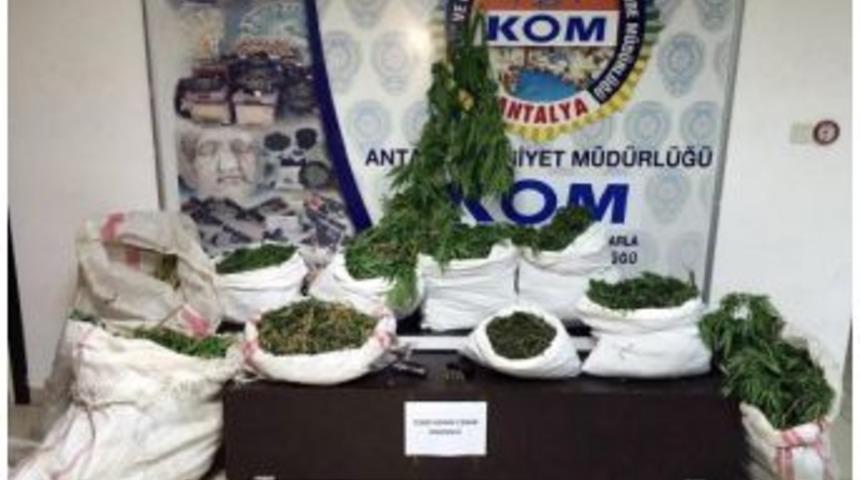 Antalya'da 55 Kilo Esrar Ele Ge&ccedil;irildi