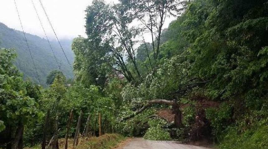 D&uuml;zce'de K&ouml;y Yolunda Heyelan