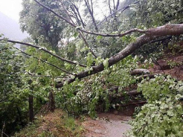 Düzce'de Köy Yolunda Heyelan