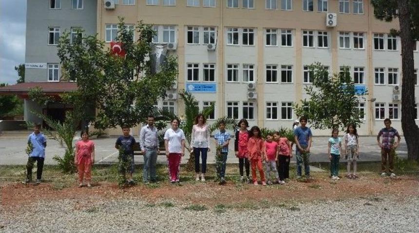 Fidanlara Şehit İsimleri Verildi