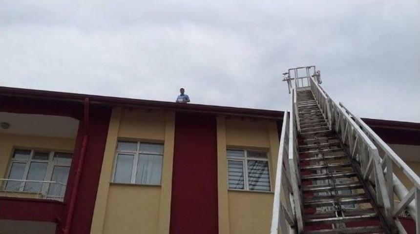 &Ccedil;atıdan D&uuml;şen Sığırcık Yavrusuna İtfaiye Sahip &Ccedil;ıktı