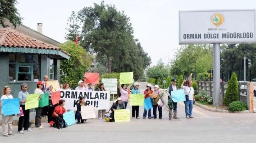 Ekizce'de Yine Sedir Katliamına Tepki