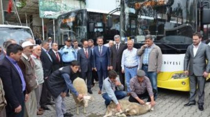 Gemlik-bursa Hattı Artık Daha Konforlu