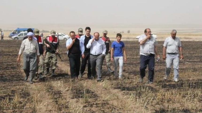 Suru&ccedil;'ta Anız Yangınını Itfaiye Ve Toma S&ouml;nd&uuml;rd&uuml;