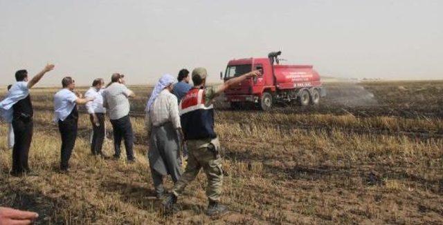 Suruç'ta Anız Yangınını Itfaiye Ve Toma Söndürdü